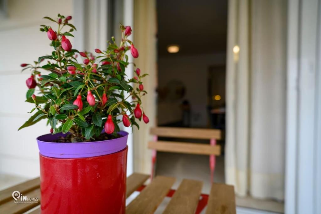 Thyme Out In Athens 아파트 외부 사진